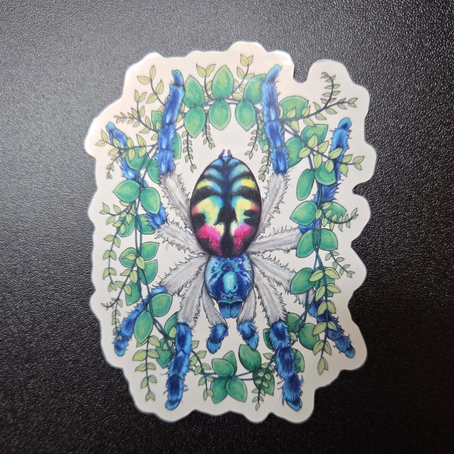 T. seladonia sticker *SHIPS WITH LIVE ORDERS*