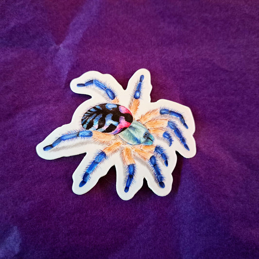 T. seladonia sticker