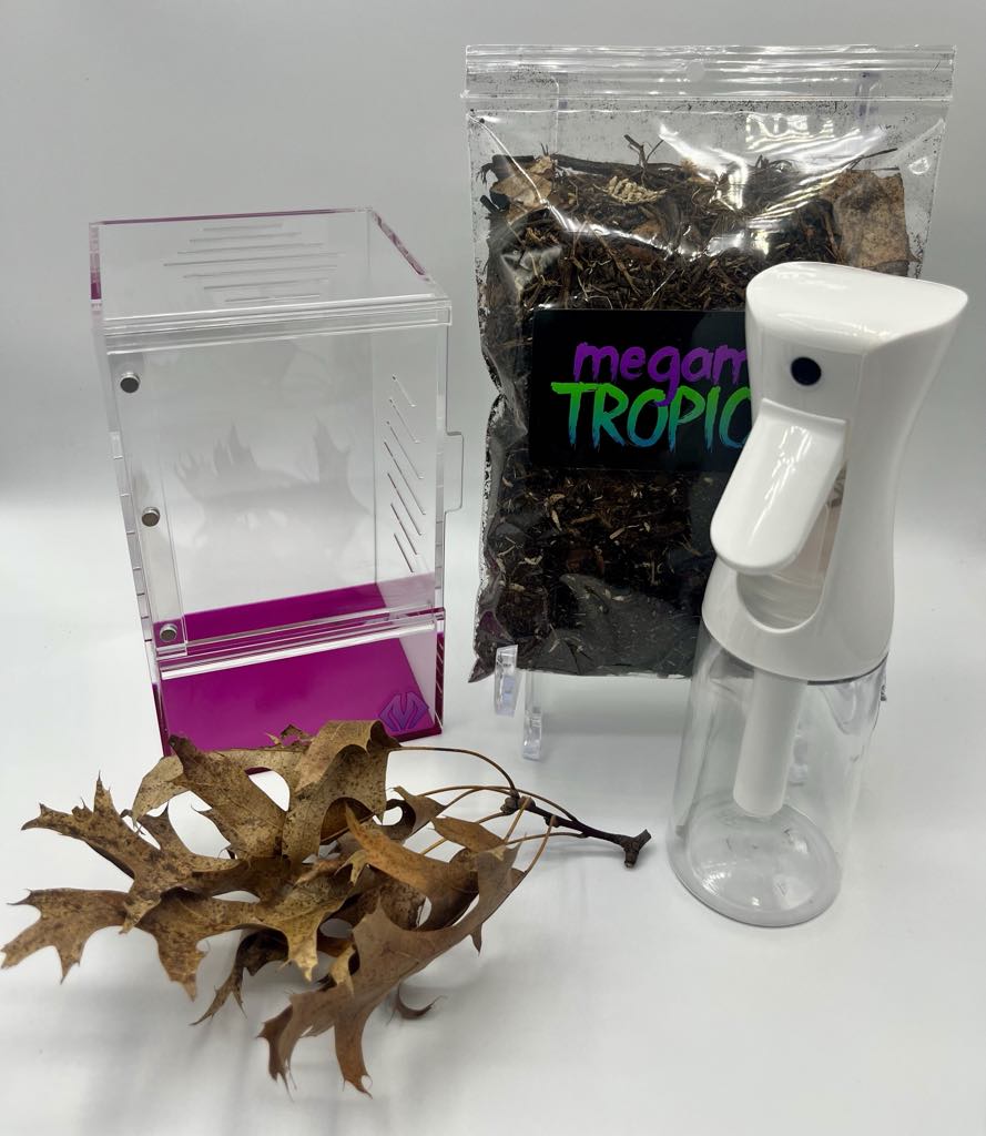 purplebox 4x4x7 ogre-faced spider habitat kit – Marshall Arachnids