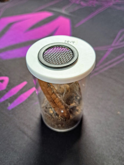 40 dram vial w/ aluminum soffit
